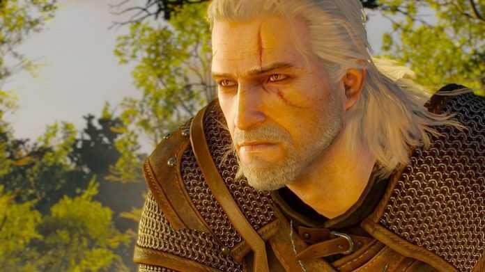 the witcher