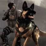 Call of Duty dog shit