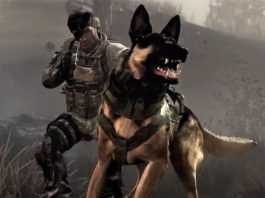 Call of Duty dog shit
