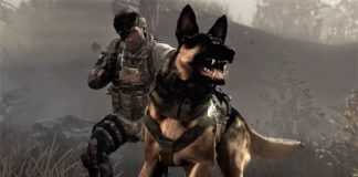 Call of Duty dog shit