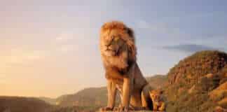 il re leon the lion king mufasa disney film cgi sequel prequel