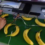 Elden Ring godrick-banana-controlle