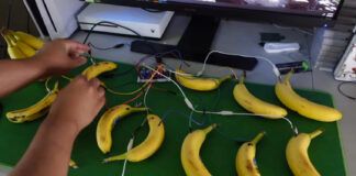 Elden Ring godrick-banana-controlle