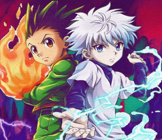 hunter x hunter