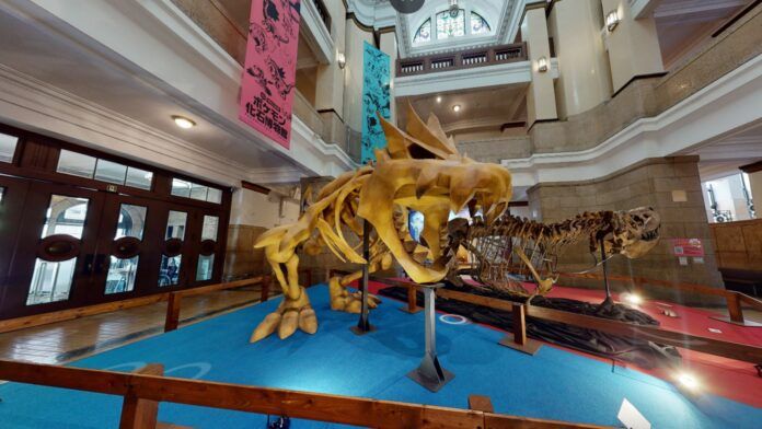 Pokémon fossili Museo di Storia Naturale di Toyohashi Giappone