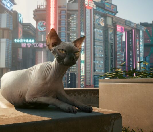 cyberpunk 2077 nibble accoglie Stray