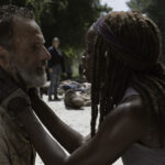 the walking dead rick michonne