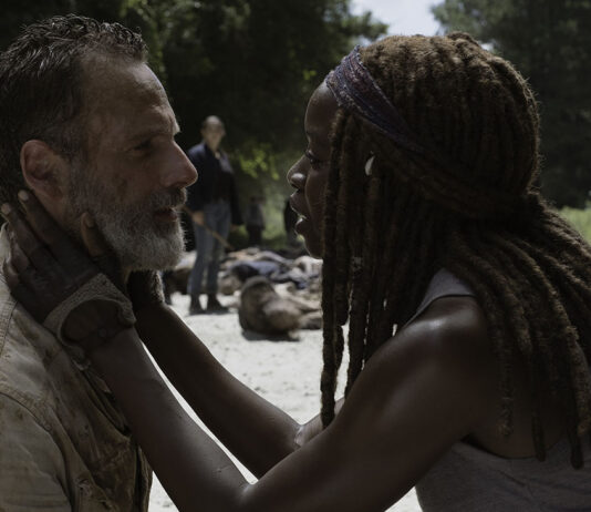 the walking dead rick michonne