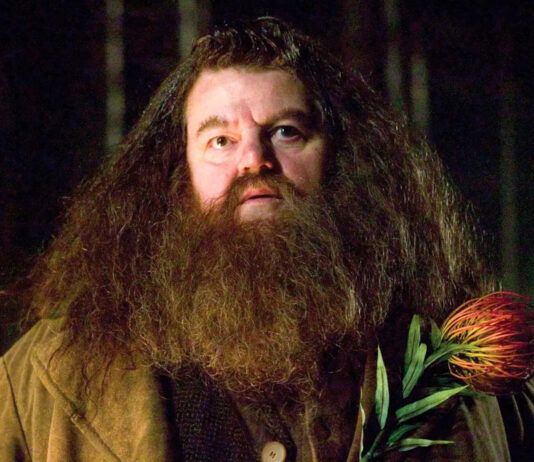 rubeus-hagrid-robbie-coltrane-harry-potter