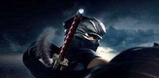 ninja gaiden team ninja