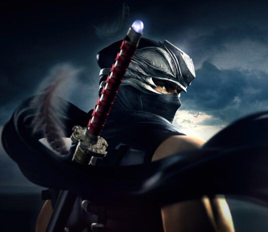 ninja gaiden team ninja