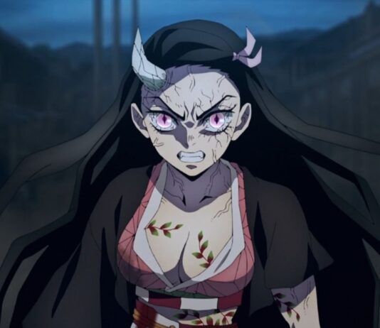 kimetsu no yaiba nezuko demon slayer