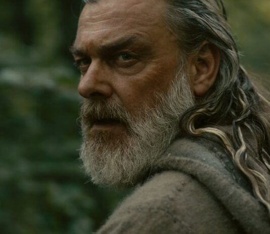 ray stevenson