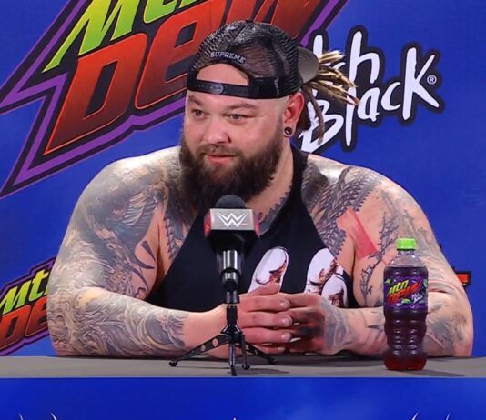 bray wyatt wrestling wrestler wwe