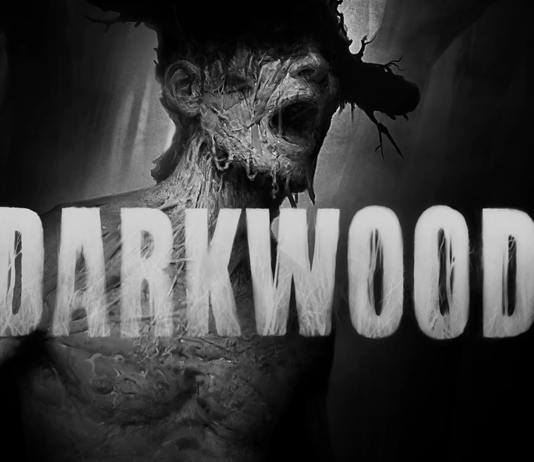 darkwood acid wiZard studio