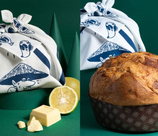 Zerocalcare Panettone Beneficenza