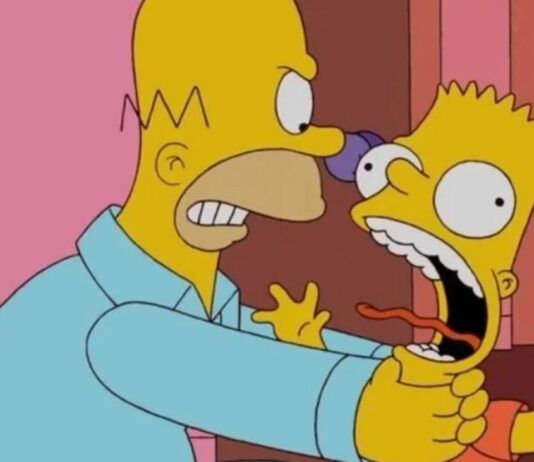 homer simpson bart simpson matt groening fox