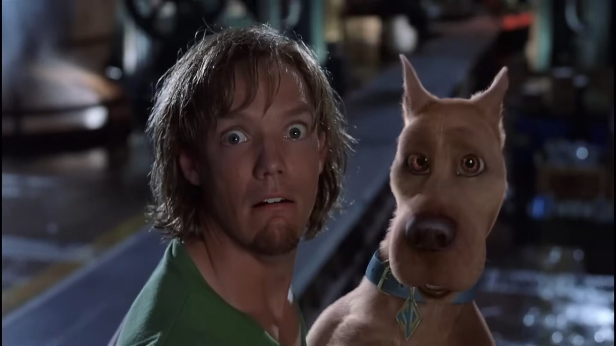 ScoobyDoo live action Netflix, secondo Variety. I fan "Matthew