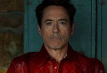 robert downey jr rdj