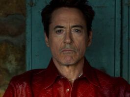 robert downey jr rdj