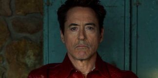 robert downey jr rdj