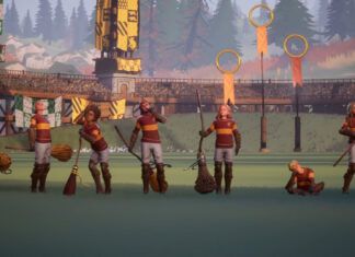 Harry Potter Quidditch Champions