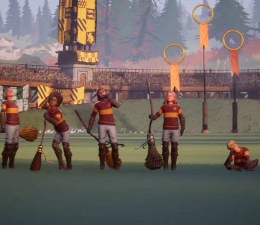 Harry Potter Quidditch Champions