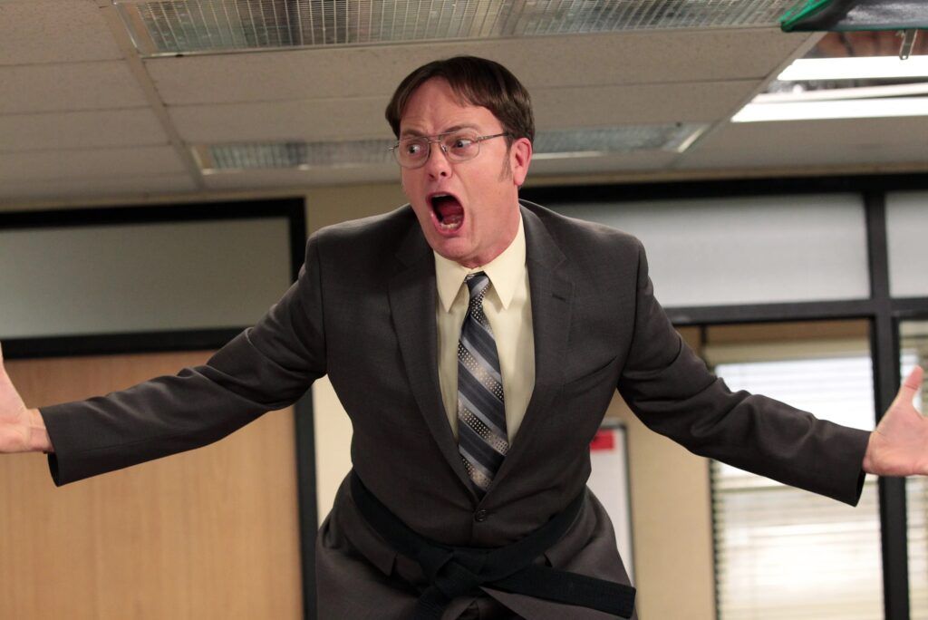 rainn wilson dwight shrute the office