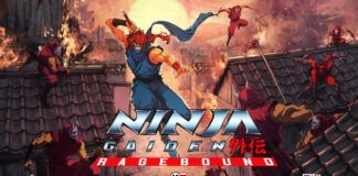 Ninja Gaiden Ragebound