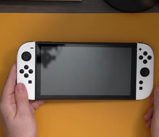 Nintendo Switch 2 Dummy Model leak NerdTest