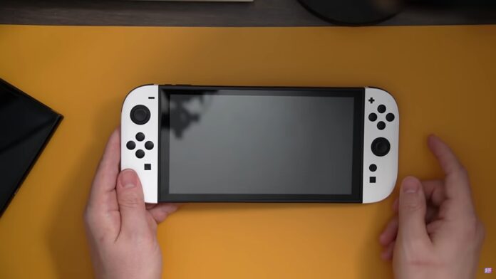 Nintendo Switch 2 Dummy Model leak NerdTest